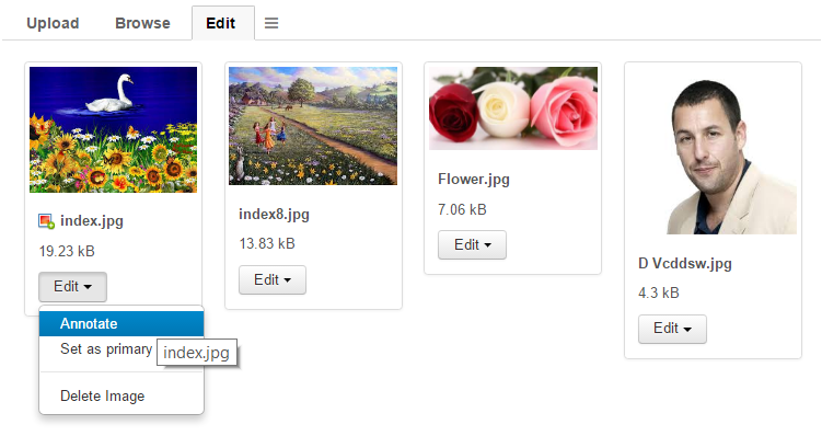 Image editing image